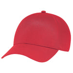 AJM -Single Panel Cap- 1T9000