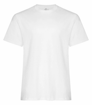 Everyday Ring Spun Cotton - Men’s Tee - ATC 2000