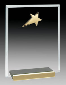 Platinum Series - Glass Plaque With Gold Star