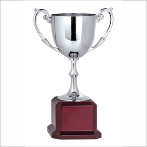Nickel Plated Cup - Heavy Weight Solid Cast Metal - Square Rosewood Base
